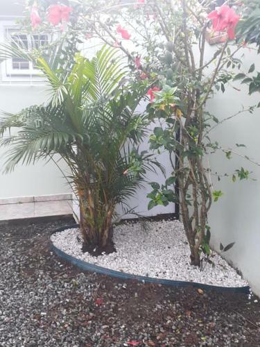 Casa De Praia Itapoa