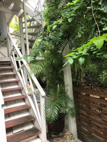 Apartamento Morada Da Biquinha - Morro De S�o Paulo