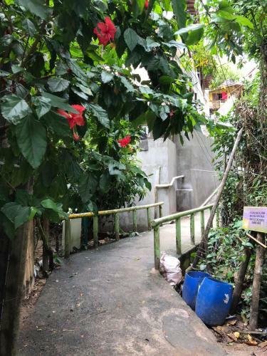 Apartamento Morada Da Biquinha - Morro De S�o Paulo