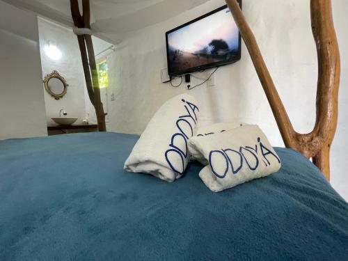 Posada Eco Pousada Odoy�