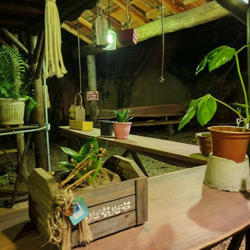 Hostal Ecocentro Brasil - Espa�o Ecol�gico
