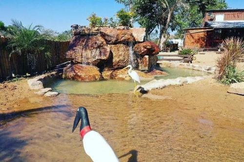 Posada Pousada Rio Novo