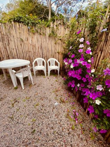 Posada Pousada Ess�ncia Do Rosa