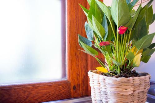 Hostal Aldeia Rosa