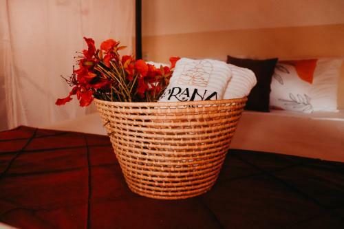 Hostal Prana Eco Villa