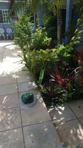 Casa Com Jardim E Piscina