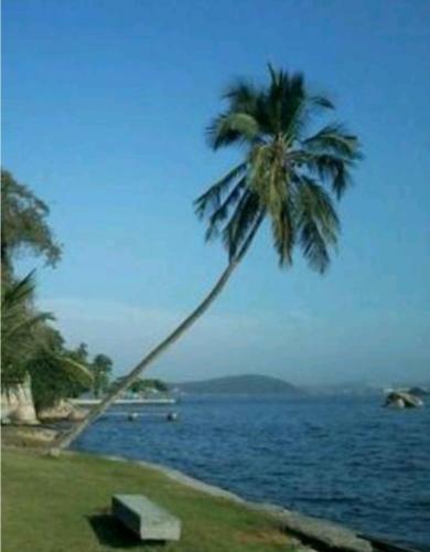 Apartamento Apto Temporada Na Ilha De Paquet�