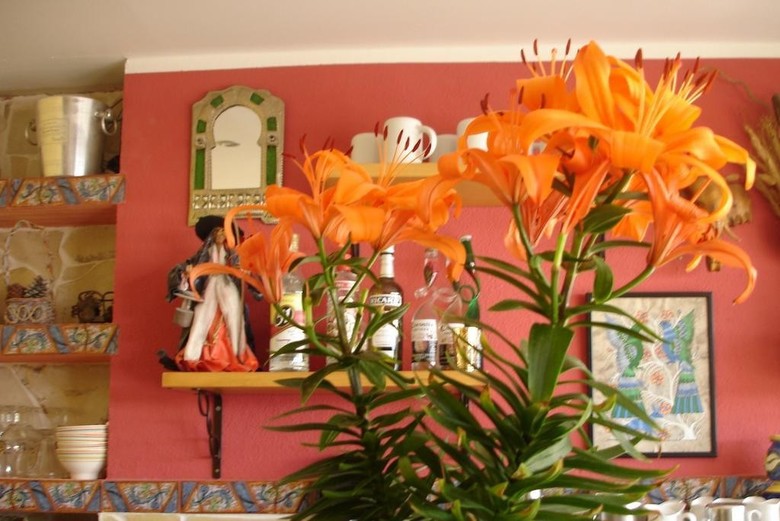 Hostal Pensi�n El Hidalgo