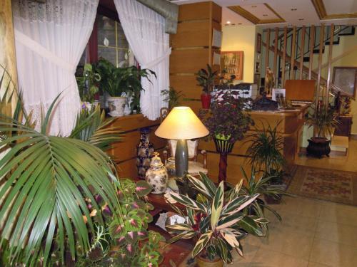 Hotel De Borle�a