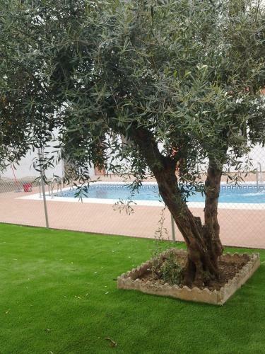Apartamentos Tur�sticos Domus Aquae