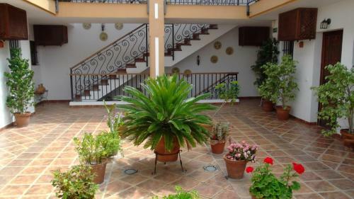 Hotel Posada Casas Viejas