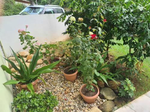 Apartamento Bombinhas Apto 02 Dormit�rios 60m Da Praia Com Vista