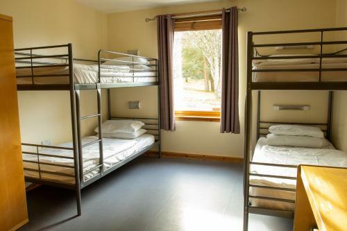 Lagganlia Lodges And Camping Pods