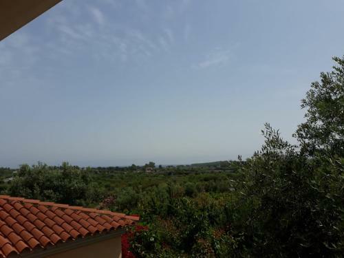 Olivastro