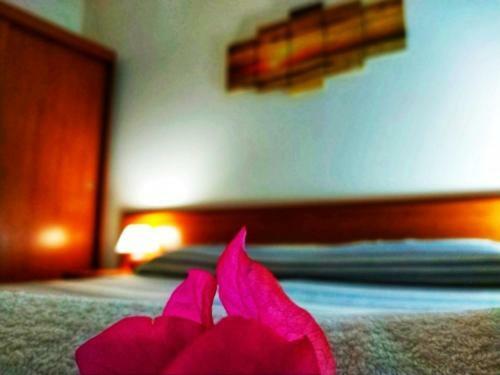 Hostal ''enzo Il Negro''