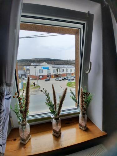 Apartament Zielony Li?? 2