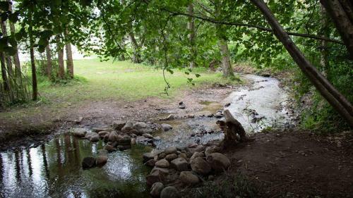 Glamping The Vosges
