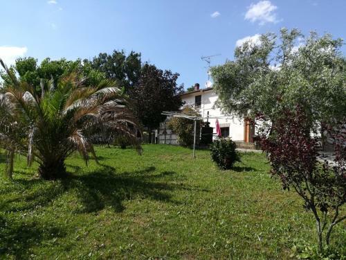 Bed & Breakfast Sotto L'ulivo