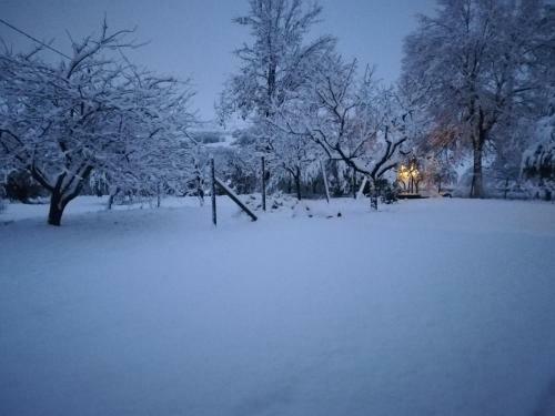 Bed & Breakfast Sotto L'ulivo