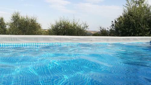 Bed & Breakfast Sotto L'ulivo