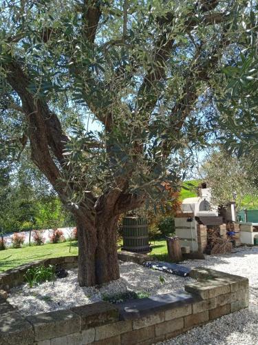 Bed & Breakfast Sotto L'ulivo