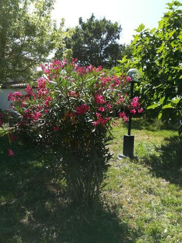 Bed & Breakfast Sotto L'ulivo