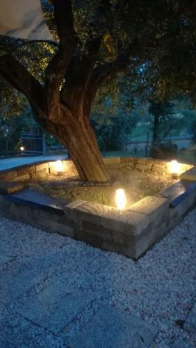 Bed & Breakfast Sotto L'ulivo