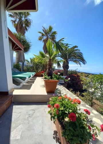 Apartamento Casas Ricardo 4