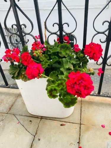 Apartamento Victoria Seis