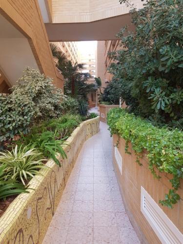 Apartamento Valparaiso 7planta