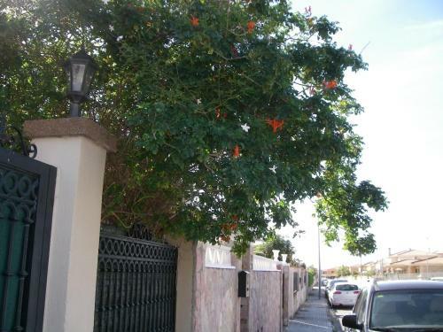 Vistas De Marratx�
