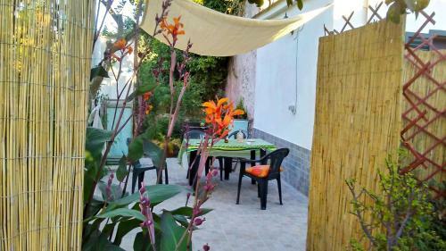 Orange House- Near The Beach