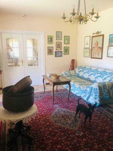 Bed & Breakfast Posada El Urogallo