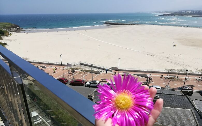 Isla Nova Hotel