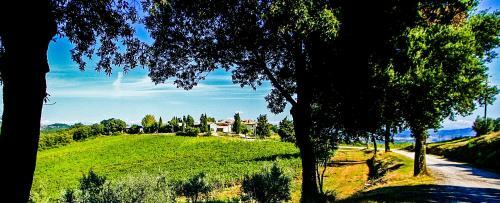 Apartamento Fattoria La Torre