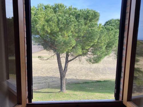Agroturismo Fattoria La Torre