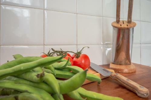 Apartamento Casa Sara
