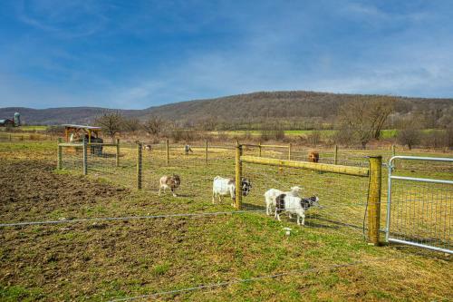 Charming Farmhouse, Including Barn Filled With Horses And Livestock