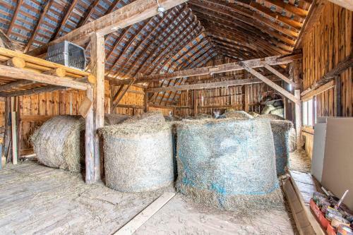 Charming Farmhouse, Including Barn Filled With Horses And Livestock