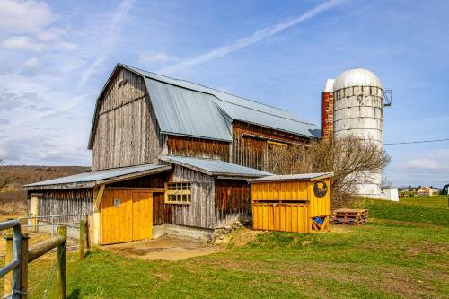 Charming Farmhouse, Including Barn Filled With Horses And Livestock