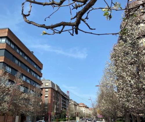 Apartamento Precioso �tico En Getxo Con Amplia Terraza