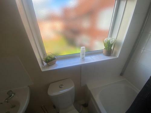 Cheerful 3 Bedroom Semi Detached House