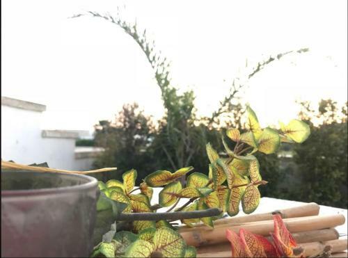 Apartamento Villetta Mara. A Due Passi Da Gallipoli.