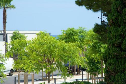 Apartamento Studio Avec Vue Sur La Mer Et Balcon Amenage A Le Barcares