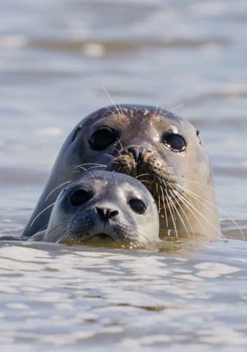 Les Pieds Dans L'eau... Au Chaud !!!