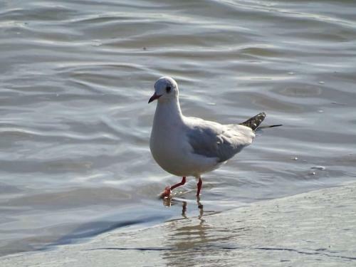 Les Pieds Dans L'eau... Au Chaud !!!