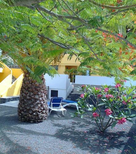 Apartamentos Villa Mar�a