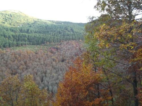 Hotel Monta�a Palentina