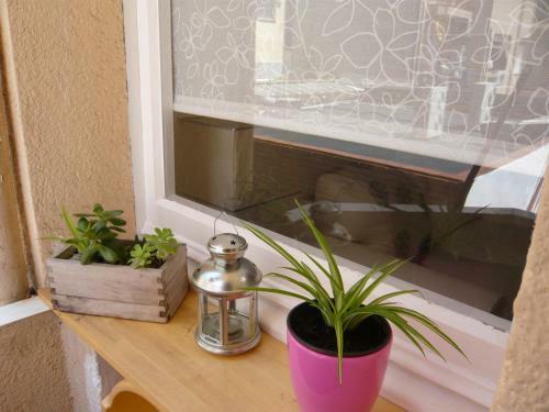 Apartament Conde G�ell