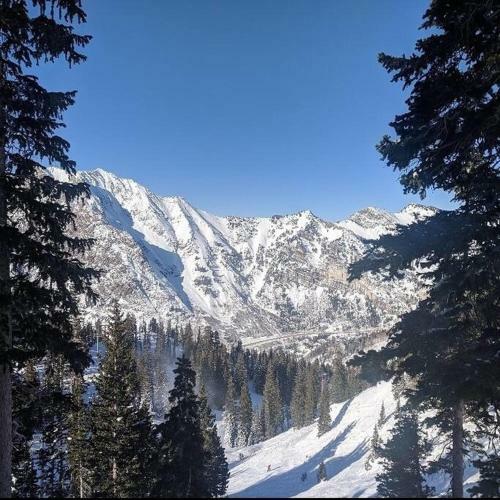 Apartamento Amazing Wasatch Mountains & The Best Ski Resorts